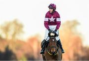 28 December 2014; Jockey Bryan Cooper onboard his mount Road To Riches after winning the Lexus Steeplechase. Leopardstown Christmas Festival, Leopardstown, Co. Dublin. Picture credit: Pat Murphy / SPORTSFILE