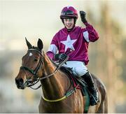 28 December 2014; Jockey Bryan Cooper celebrates after his mount Road To Riches won the Lexus Steeplechase. Leopardstown Christmas Festival, Leopardstown, Co. Dublin. Picture credit: Pat Murphy / SPORTSFILE