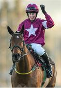 28 December 2014; Jockey Bryan Cooper celebrates after his mount Road To Riches won the Lexus Steeplechase. Leopardstown Christmas Festival, Leopardstown, Co. Dublin. Picture credit: Pat Murphy / SPORTSFILE