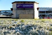 29 December 2014; A general view of the parade ring before the start of the day's racing. Leopardstown Christmas Festival, Leopardstown, Co. Dublin. Photo by Sportsfile