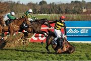 29 December 2014; Jimmy Two Times, with D.G. Lavery up, falls over the final hurdle as, from left, Bentelimar, with Luke Dempsey up, and Sir Abbot with A.P. McCoy up, race past. Bentelimar and jockey Luke Dempsey were victorious in The Ryanair European Breeders Fund Novice Handicap Hurdle. Leopardstown Christmas Festival, Leopardstown, Co. Dublin. Picture credit: Cody Glenn / SPORTSFILE