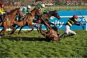 29 December 2014; Jimmy Two Times, with D.G. Lavery up, falls over the final hurdle as, from left, Eight Till Late, with Andrew J. McNamara up, Bentelimar, with Luke Dempsey up, and Sir Abbot with A.P. McCoy up, race past. Bentelimar and jockey Luke Dempsey were victorious in The Ryanair European Breeders Fund Novice Handicap Hurdle. Leopardstown Christmas Festival, Leopardstown, Co. Dublin. Picture credit: Cody Glenn / SPORTSFILE