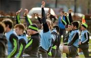 29 December 2014; Munster players including Billy Holland, right, stretch during squad training ahead of their Guinness PRO12, Round 12, match against Connacht on New Year's Day. Munster Rugby Squad Training, University of Limerick, Limerick. Picture credit: Diarmuid Greene / SPORTSFILE