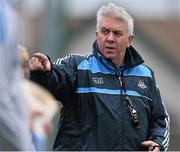 1 January 2015; New Dublin hurling manager Ger Cunningham. Dublin v Dubs Stars - Herald / Dublin Bus Hurling Challenge 2015. Parnells GAA Club, Dublin. Picture credit: David Maher / SPORTSFILE