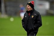 4 January 2015; Down manager Jim McCorry. Dr McKenna Cup, Round 1, Down v Cavan. Pairc Esler, Newry, Co. Down. Picture credit: Ramsey Cardy / SPORTSFILE