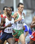 30 August 2007; Ireland's Alistair Cragg, 683, competing alongside Bernard Lagat, 1113, of USA, in his heat of the Men's 5000m where he finished 13th in a time of 13:59.45. The 11th IAAF World Championships in Athletics, Nagai Stadium, Osaka, Japan. Picture credit: Brendan Moran / SPORTSFILE  *** Local Caption ***