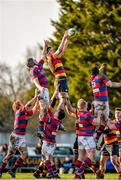 10 January 2015; Brian Moylett, Lansdowne, takes the ball in the lineout against Tom Byrne and Eoghan Browne,5, Clontarf. Ulster Bank League Division 1A, Clontarf v Lansdowne, Castle Avenue, Clontarf, Co. Dublin. Picture credit: Matt Browne / SPORTSFILE