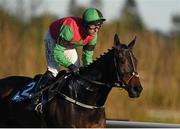 28 December 2014; Gimli's Voyage, with Davy Russell up, during the At Races Maiden Hurdle. Leopardstown Christmas Festival, Leopardstown, Co. Dublin. Picture credit: Pat Murphy / SPORTSFILE