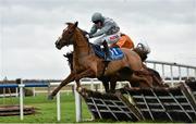 11 January 2015; Go Anna Go, with J.J. Burke up, jumps the last ahead of eventual winner Might Be Magic, with Pat Foley  up during the Ward Union Hunt Raceday Handicap Hurdle. Fairyhouse, Co. Meath. Picture credit: Barry Cregg / SPORTSFILE