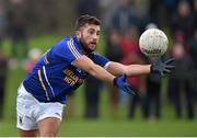 11 January 2015; Darren Hayden, Wicklow. Bord na Mona O'Byrne Cup, Group D, Round 3, Wexford v Wicklow, Pairc Ui Suiochan, Gorey, Co. Wexford. Picture credit: Matt Browne / SPORTSFILE