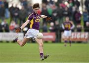 11 January 2015; Paudie Barden, Wexford. Bord na Mona O'Byrne Cup, Group D, Round 3, Wexford v Wicklow, Pairc Ui Suiochan, Gorey, Co. Wexford. Picture credit: Matt Browne / SPORTSFILE