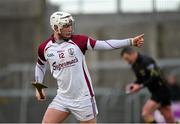 18 January 2015; Eanna Burke, Galway, celebrates a late point. Bord na Mona Walsh Cup, Group 4, Round 2, Westmeath v Galway, Cusack Park, Mullingar, Co. Westmeath. Picture credit: Pat Murphy / SPORTSFILE