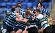 20 January 2015; Geoff Brookes, Castleknock College, with support from team-mate Conor Stinson, is tackled by Matthew O'Brien, centre, and Andrew Lynch, St. Gerard's School. Bank of Ireland Leinster Schools Vinnie Murray Cup Semi-Final, Castleknock College v St. Gerard's School, Donnybrook Stadium, Donnybrook, Dublin. Picture credit: Barry Cregg / SPORTSFILE
