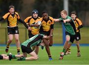 20 January 2015; Yusuf Gbede, St Patricks Classical School Navan, is tackled by Jake Elliott, left, and Sean Branigan, Scoil Chonglais Baltinglass. Bank of Ireland Leinster Schools Fr. Godfrey Cup, 2nd Round, St Patricks Classical School Navan v Scoil Chonglais Baltinglass, Donnybrook Stadium, Donnybrook, Dublin. Picture credit: Barry Cregg / SPORTSFILE