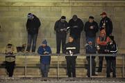 20 January 2015; Dublin supporters during the game. Bord na Mona Walsh Cup, Group 2, Round 2, Dublin v DIT, Parnell Park, Dublin. Picture credit: Barry Cregg / SPORTSFILE