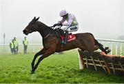 22 January 2015; Dicosimo, with Ruby Walsh up, jumps the last on their way to winning the Nugent Spirit 25 Horsebox Hurdle. Gowran Park, Gowran, Co. Kilkenny. Picture credit: Matt Browne / SPORTSFILE