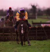 16 January 2000; Great Days, with Paul Wade up, races clear of the field on their way to winning the Fairyhouse European Breeders Fund Mares Maiden Hurdle at Fairyhouse Racecourse in Meath. Photo by Ray McManus/Sportsfile