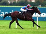 25 October 1999; Monashee Mountain, with Michael Kinane up, on the way to winning the Killavullan Stakes at Leopardstown Racecourse in Dublin. Photo by Sportsfile