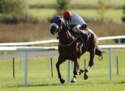 4 October 2007; Naked Ambition, with Fran Berry up, during the Kilkenny Racing Festival October Handicap. Gowran Park, Co. Kilkenny. Picture credit; Matt Browne / SPORTSFILE
