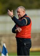 18 January 2015;  Frank Fitzsimmons, Antrim manager. Bank of Ireland Dr McKenna Cup, Group C, Round 3, Tyrone v Antrim, St. Tiernach's Park, Clones, Co. Tyrone. Picture credit: Oliver McVeigh / SPORTSFILE