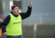 18 January 2015; Westmeath manager Michael Ryan. Bord na Mona Walsh Cup, Group 4, Round 2, Westmeath v Galway, Cusack Park, Mullingar, Co. Westmeath. Picture credit: Pat Murphy / SPORTSFILE