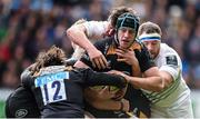 24 January 2015; James Gaskell, Wasps, is tackled by Kane Douglas, left, and Michael Bent, right, Leinster. European Rugby Champions Cup 2014/15, Pool 2, Round 6, Wasps v Leinster. Ricoh Arena, Coventry, England. Picture credit: Stephen McCarthy / SPORTSFILE