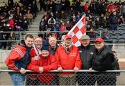24 January 2015; A group of Cork supporters at the game. Waterford Crystal Cup, Semi-Final, Cork v Clare, Mallow, Co. Cork. Picture credit: Diarmuid Greene / SPORTSFILE