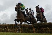 25 January 2015; Gladiator King, left, with Tony McCoy up, jumps the last ahead of Uncle Danny, centre, with Davy Russell up, and Prince of Scars, with Roger Loughran up, during the The Donohue Marquees Maiden Hurdle. Leopardstown, Co. Dublin. Picture credit: Barry Cregg / SPORTSFILE