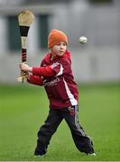 25 January 2015; Five year old Galway supporter Killian Higgins, from Corofin, on the pitch in O'Connor Park before the game. Bord na Mona Walsh Cup Group 4, Round 3, Offaly v Galway, O'Connor Park, Tullamore, Co. Offaly. Picture credit: Matt Browne / SPORTSFILE