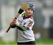 25 January 2015; Eight year old Galway supporter Johnny Higgins, from Corofin, on the pitch in O'Connor Park before the game. Bord na Mona Walsh Cup Group 4, Round 3, Offaly v Galway, O'Connor Park, Tullamore, Co. Offaly. Picture credit: Matt Browne / SPORTSFILE