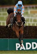 25 January 2015; Un De Sceaux, with Ruby Walsh up, clears the last on their way to winning The Frank Ward Solicitors Arkle Novice Steeplechase. Leopardstown, Co. Dublin. Picture credit: Barry Cregg / SPORTSFILE