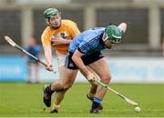 25 January 2015; Michael Carton, Dublin, in action against Paul Shiels, Antrim. Bord na Mona Walsh Cup Group 2, Round 3, Dublin v Antrim, Parnell Park, Dublin. Picture credit: Oliver McVeigh / SPORTSFILE