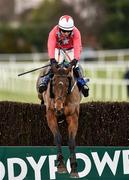 25 January 2015; Paddy O Dee, with Mark Enright up, jumps the last on their way to winning The Sandyford Handicap Steeplechase. Leopardstown, Co. Dublin. Picture credit: Barry Cregg / SPORTSFILE
