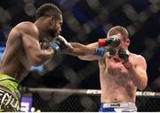 24 January 2015; Neil Seery, right, and Chris Beal in their flyweight bout during the UFC Fight Night event. Tele2 Arena, Stockholm, Sweden. Picture credit: David Fogarty / SPORTSFILE