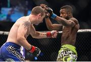 24 January 2015; Neil Seery, left, and Chris Beal in their flyweight bout during the UFC Fight Night event. Tele2 Arena, Stockholm, Sweden. Picture credit: David Fogarty / SPORTSFILE