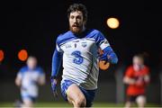 24 January 2015; Tommy Prendergast, Waterford. McGrath Cup Final, Waterford v UCC, Fraher Field, Dungarvan, Co. Waterford. Picture credit: Matt Browne / SPORTSFILE