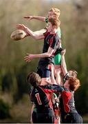 26 January 2015; Joseph O'Connor, Wesley College, competes in a lineout against Sean Branagan, Scoil Chonglais Baltinglass. Bank of Ireland Leinster Schools Fr. Godfrey Cup Semi-Final, Wesley College v Scoil Chonglais Baltinglass. Coolmine RFC, Dublin. Picture credit: Pat Murphy / SPORTSFILE