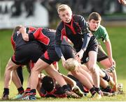26 January 2015; Ross Henderson, Wesley College. Bank of Ireland Leinster Schools Fr. Godfrey Cup Semi-Final, Wesley College v Scoil Chonglais Baltinglass. Coolmine RFC, Dublin. Picture credit: Pat Murphy / SPORTSFILE
