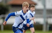 27 January 2015; Danie James, St. Andrew's College. Bank of Ireland Leinster Schools Fr. Godfrey Cup, Semi-Final, CBC Monkstown v St. Andrew's College, Anglesea Road, Dublin. Picture credit: Piaras Ó Mídheach / SPORTSFILE