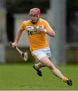 25 January 2015; PJ O'Connell, Antrim. Bord na Mona Walsh Cup Group 2, Round 3, Dublin v Antrim, Parnell Park, Dublin. Picture credit: Oliver McVeigh / SPORTSFILE