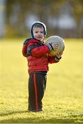 28 January 2015; Timmy Sheehan, aged 2, from Templeoge, Dublin, son of Laois footballer Billy Sheehan, at the game. Independent.ie Sigerson Cup, Preliminary Round, Trinity College v Athlone IT. Clanna Gael GAC, Ringsend, Dublin. Picture credit: Barry Cregg / SPORTSFILE