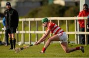 29 January 2015; Aidan Walsh, Cork IT, takes a sideline cut. Independent.ie Fitzgibbon Cup, Group A, Round 1, DCU v Cork IT. Dublin City University, Dublin. Picture credit: Piaras Ó Mídheach / SPORTSFILE