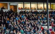 25 January 2015; A general view of supporters and journalists during the game. Bord na Mona O'Byrne Cup Final, Kildare v Dublin, St Conleth's Park, Newbridge, Co. Kildare. Picture credit: Piaras Ó Mídheach / SPORTSFILE