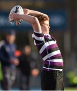 2 February 2015; Levi Vaughan, Terenure College. Bank of Ireland Leinster Schools Junior Cup, 1st Round, Terenure College v The King's Hospital. Donnybrook Stadium, Donnybrook, Dublin. Picture credit: Barry Cregg / SPORTSFILE
