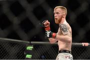 18 January 2015; Paddy Holohan in action against Shane Howell during their flyweight bout. UFC Fight Night, Paddy Holohan v Shane Howell, TD Garden, Boston, Massachusetts, USA. Picture credit: Ramsey Cardy / SPORTSFILE