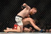 18 January 2015; Paddy Holohan, above, in action against Shane Howell during their flyweight bout. UFC Fight Night, Paddy Holohan v Shane Howell, TD Garden, Boston, Massachusetts, USA. Picture credit: Ramsey Cardy / SPORTSFILE