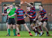 4 February 2015; St Munchin's College players celebrate victory as referee Chris Harrington blows the final whistle. SEAT Munster Schools Junior Cup, Round 1, St Munchin's College v Ardscoil Rís. St Mary's RFC, Limerick. Picture credit: Diarmuid Greene / SPORTSFILE
