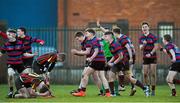 4 February 2015; St Munchin's College players celebrate victory at the final whistle as Ardscoil Rís players show their disappointment. SEAT Munster Schools Junior Cup, Round 1, St Munchin's College v Ardscoil Rís. St Mary's RFC, Limerick. Picture credit: Diarmuid Greene / SPORTSFILE