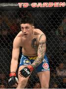 18 January 2015; Norman Parke in action against Gleison Tibau during their lightweight bout. UFC Fight Night, Norman Parke v Gleison Tibau, TD Garden, Boston, Massachusetts, USA. Picture credit: Ramsey Cardy / SPORTSFILE