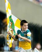 10 June 2007; A young Offaly supporter cheers on his team during half time. Guinness Leinster Senior Hurling Championship Semi-Final, Offaly v Kilkenny, O'Moore Park, Portlaoise, Co. Laois. Picture by; David Maher / SPORTSFILE from 'A Season of Sundays 2007'            This image may be reproduced free of charge when used in conjunction with a review of the book. All other usage ©SPORTSFILE